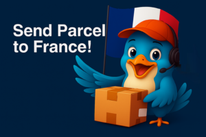 Send Parcel To France with ShippingToGo